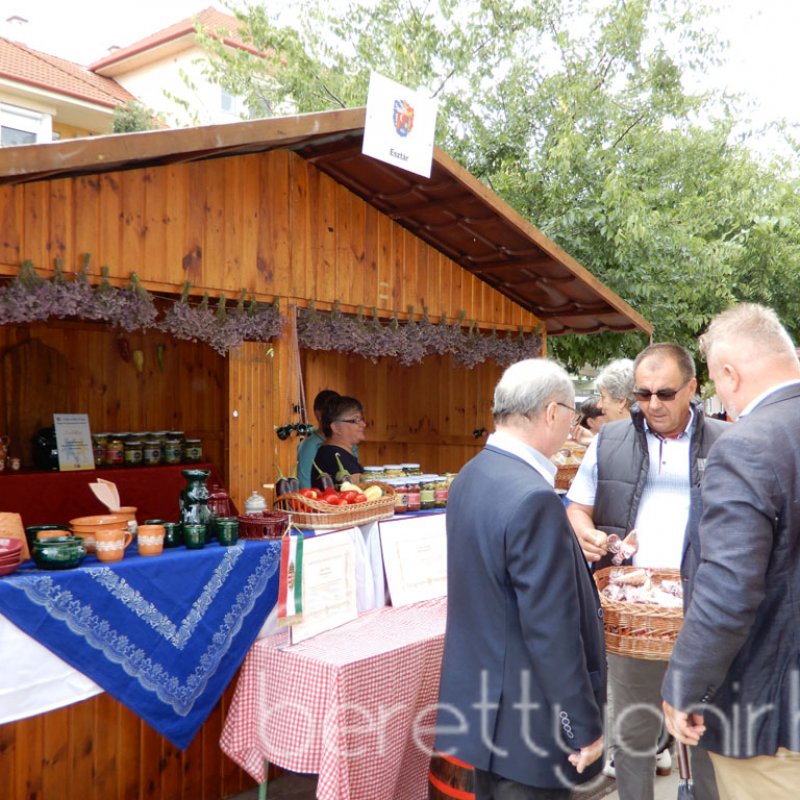 Helyi Értékek Startja 100